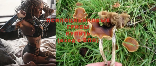 ГАЛЛЮЦИНОГЕННЫЕ ГРИБЫ Алексеевка