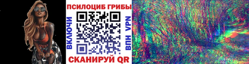МЕГА ТОР  купить наркотики цена  Лосино-Петровский  Псилоцибиновые грибы ЛСД 