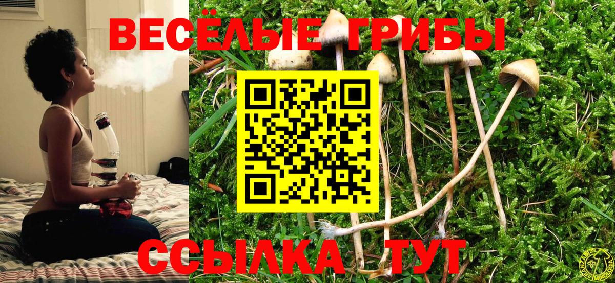 Псилоцибиновые грибы мухоморы  Вход с VPN  Лосино-Петровский 